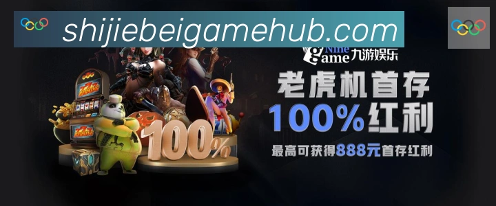 未来规划